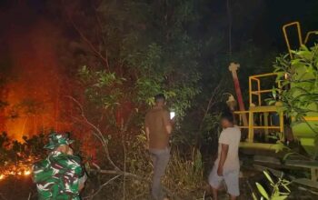 675,9 Hektare Lahan Terbakar di Lampung dan Maluku Utara