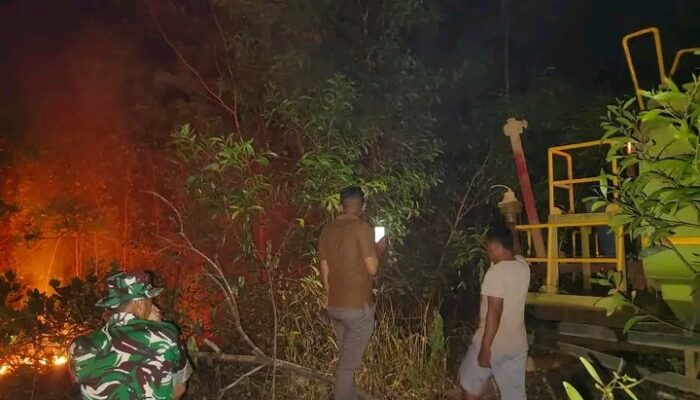 675,9 Hektare Lahan Terbakar di Lampung dan Maluku Utara