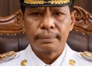 Potensi Pertanian dan Tantangan Ekonomi Jadi Perhatian pemerintah Kecamatan Wewewa Utara